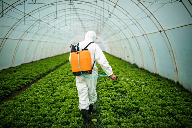Reliable Kane, PA Pest Control Solutions