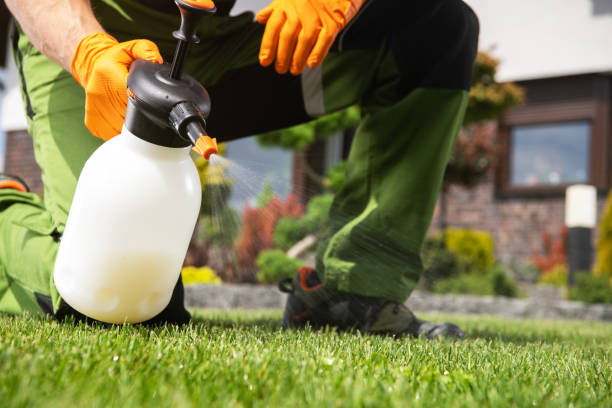 Best Pest Removal Services  in Kane, PA