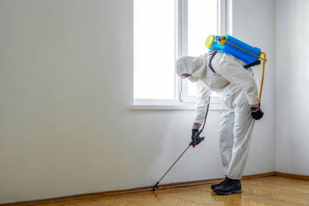 Best Flea Control Services  in Kane, PA