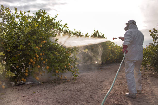 Best Mosquito Control Services  in Kane, PA
