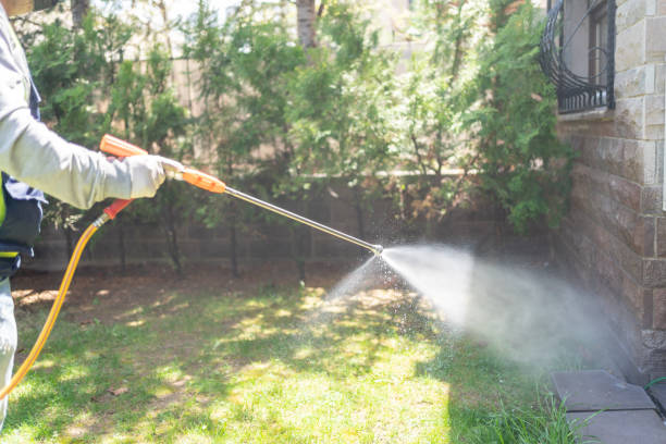 Spider Control Near Me in Kane, PA